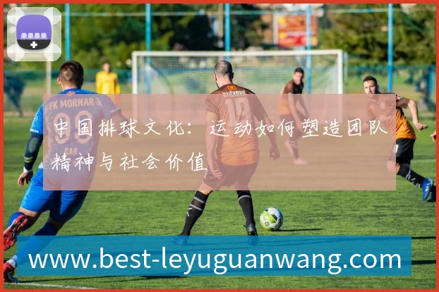中国排球文化:运动如何塑造团队精神与社会价值