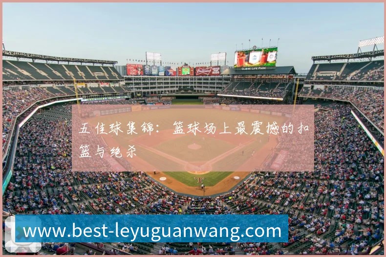 乐鱼官网平台生态图